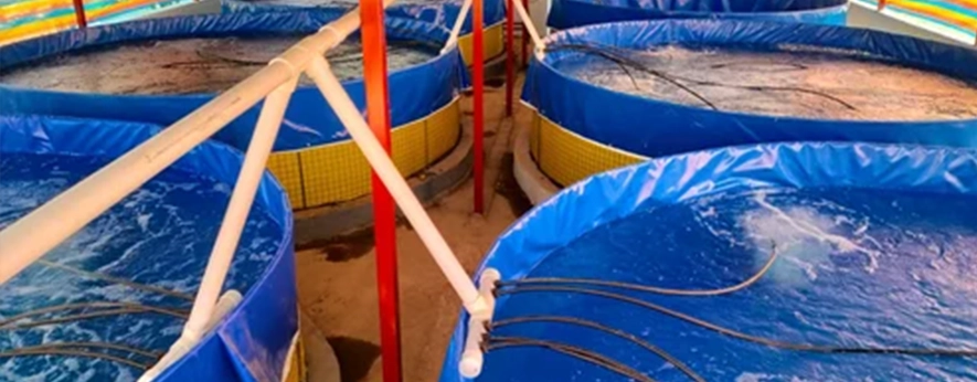 Portable water storage containers